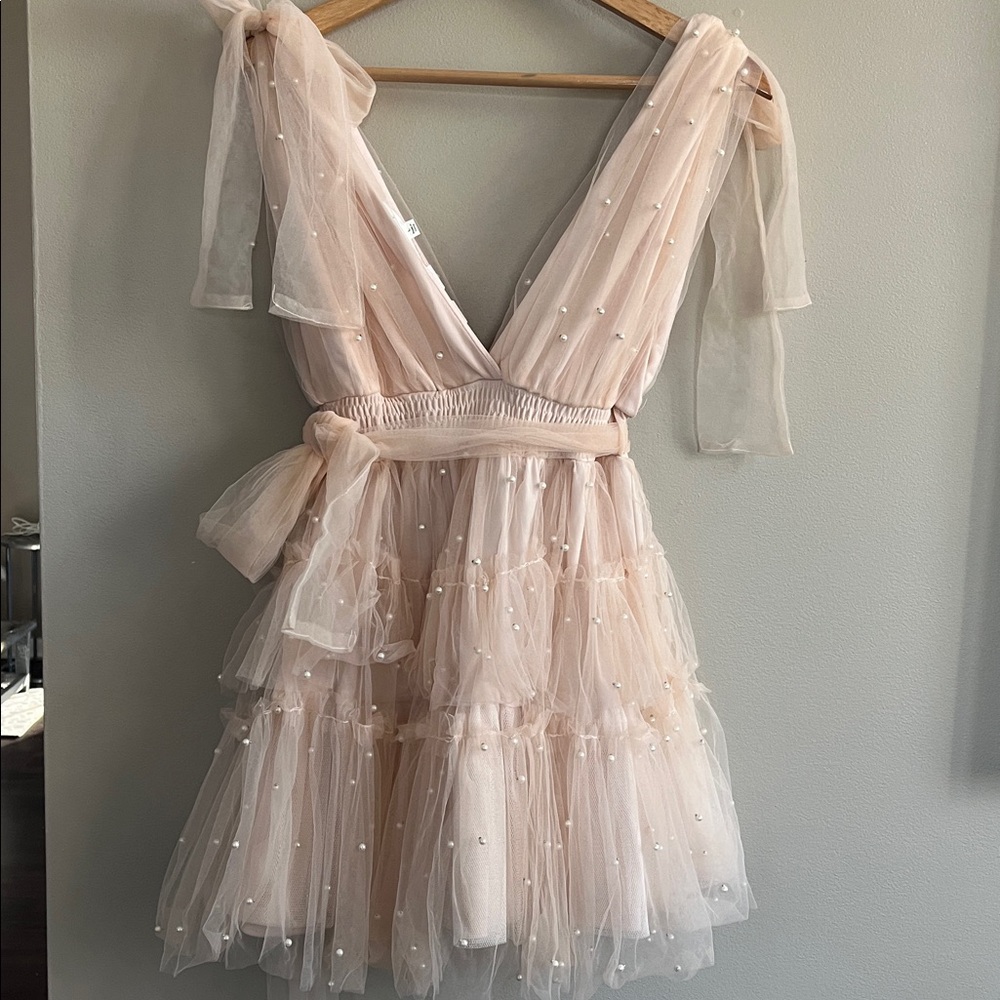 Mable Pearl Stud Swiss Dot Tulle Mini Dress in blush pink size large - Picture 9 of 16